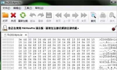 lic文件怎么打開？lic格式文件打開亂碼的解決方法