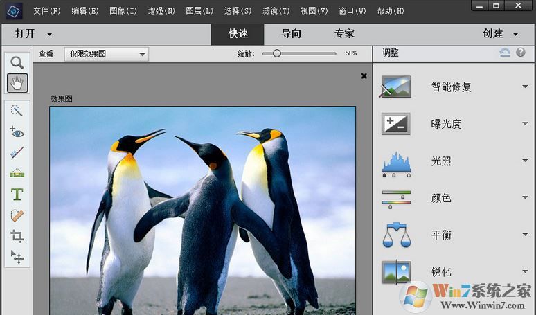 Adobe Photoshop Elements 2019綠色精簡版（無需激活免費用）