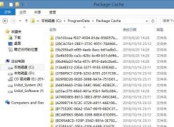Package Cache是什么文件夾,可以刪除嗎？