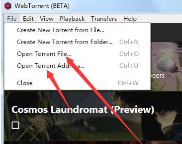 webtorrent下載_webtorrent BT種子播放器 V0.21.0.1 綠色版