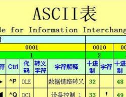 ascii碼轉(zhuǎn)換器下載_ASCII轉(zhuǎn)換器v2020 綠色版(進制轉(zhuǎn)換工具)