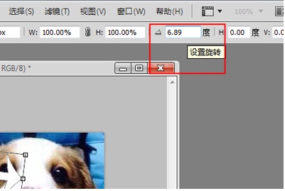 PS旋轉(zhuǎn)圖片,PS怎么旋轉(zhuǎn)圖片、圖層？