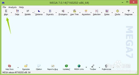 mega進化樹軟件