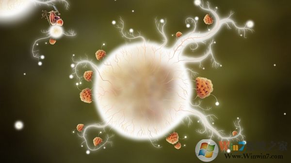 植物精靈(Botanicula)冒險游戲 電腦中文版