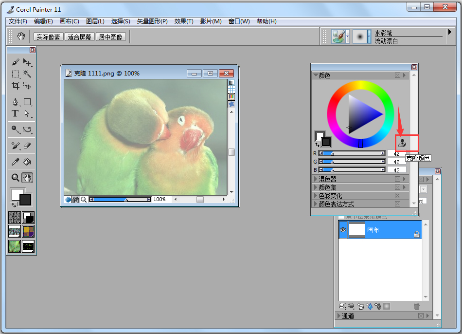 Corel Painter