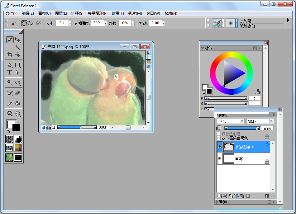 Corel Painter