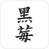 黑莓小說(shuō)閱讀