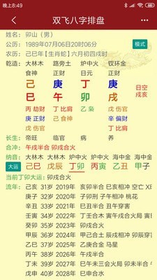 雙飛八字排盤