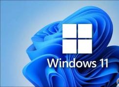 Win11家庭版和專業(yè)版有什么區(qū)別？Win11家庭版和專業(yè)版哪個(gè)好用？