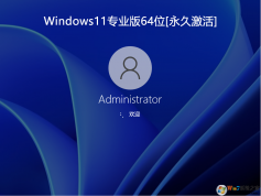 Windows11專業(yè)版下載|Windows11 64位專業(yè)版(永久激活系統(tǒng)) v2024