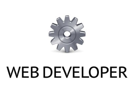 Web Developer(Chrome Web開發(fā)工具插件)