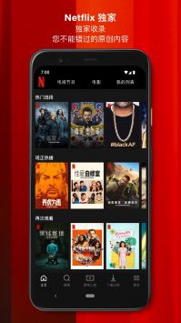 網(wǎng)飛(Netflix)