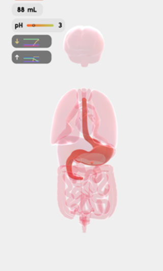 生命人體模擬器