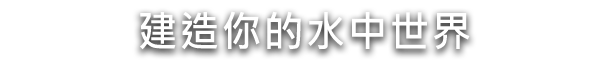 水之城有什么特色內(nèi)容