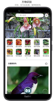 萬(wàn)物識(shí)別APP免費(fèi)版