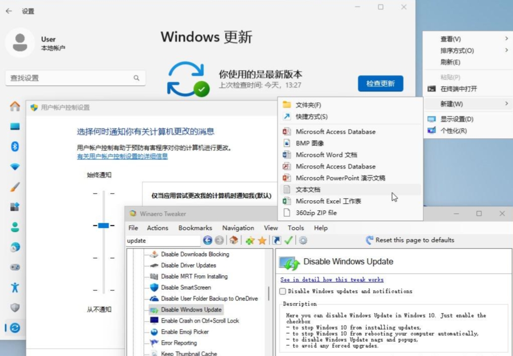 Windows 11 (中國定制版)