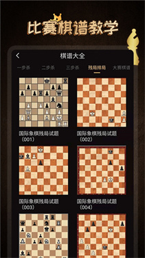 國際象棋大師(附教學(xué)玩法)