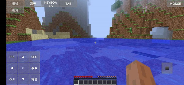 Minecraft Java