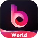 Bei WorldAPP專業(yè)版