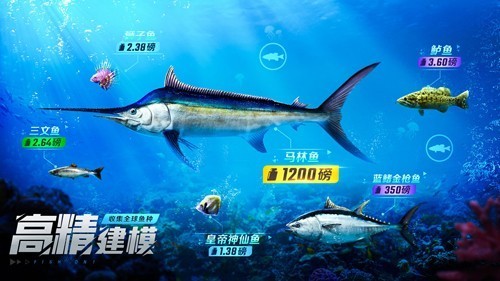 歡樂釣魚大師內(nèi)置菜單版