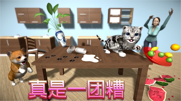 貓咪模擬器(Cat Sim)